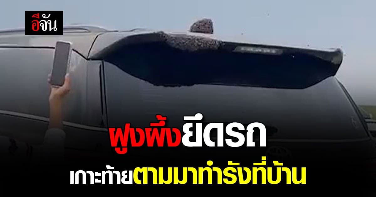 เหลือเชื่อ จอดรถไปถ่ายรูปแค่ 20 นาที ฝูงผึ้งมาทำรังท้ายรถ