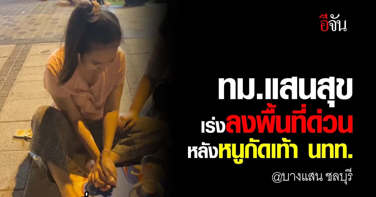 เทศบาลเมืองแสนสุข ลงพื้นที่แก้ปัญหาด่วน หลังหนูหาดบางแสนกัดเท้า นทท.