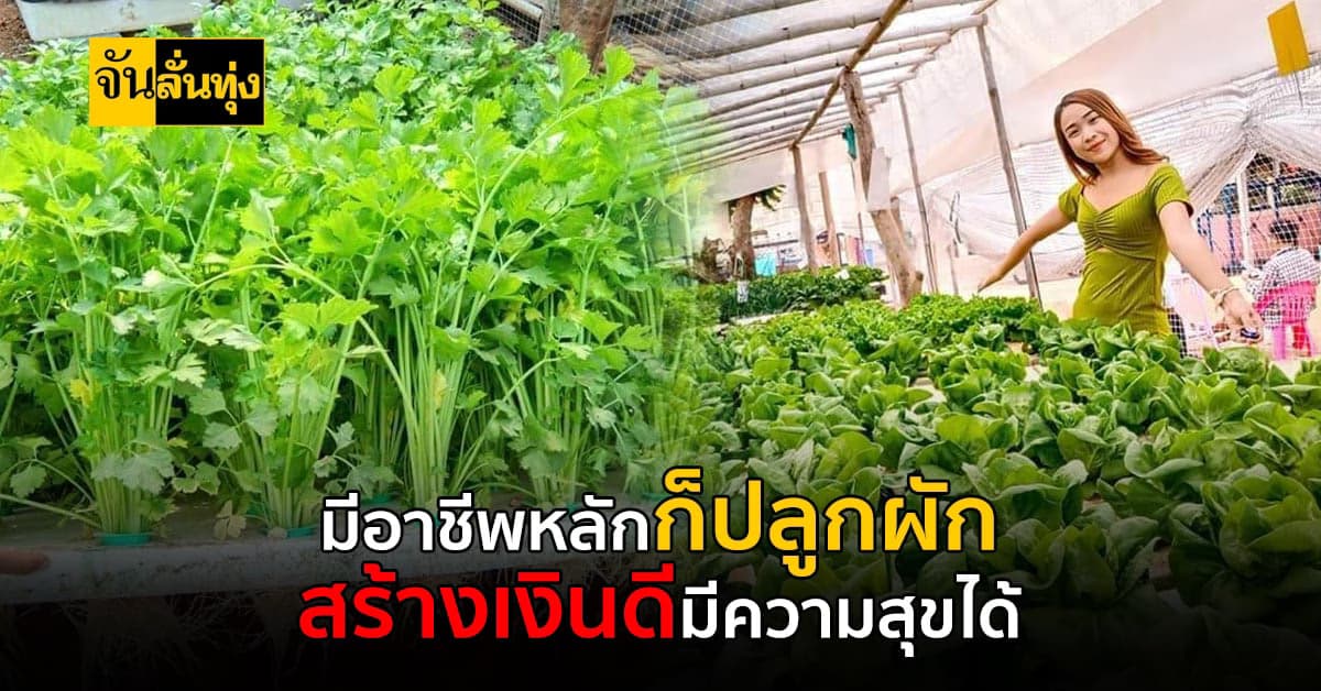 สาววัย29 ใช้เวลาว่างจากงานประจำ ปลูกผักสร้างเงินเสริม