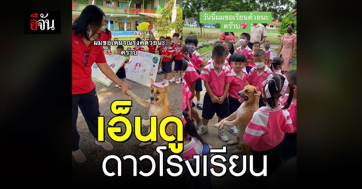 เอ็นดู ดาวโรงเรียนขวัญใจวัยอนุบาล เจ้าโชค ชอบมาโรงเรียน