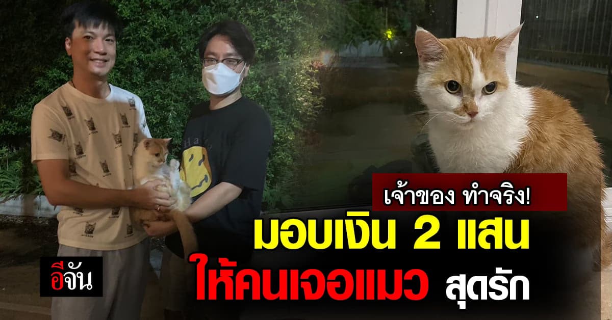 เจ้าของ มอบเงิน 2 แสน ให้พลเมือง เจอแมวสุดรัก