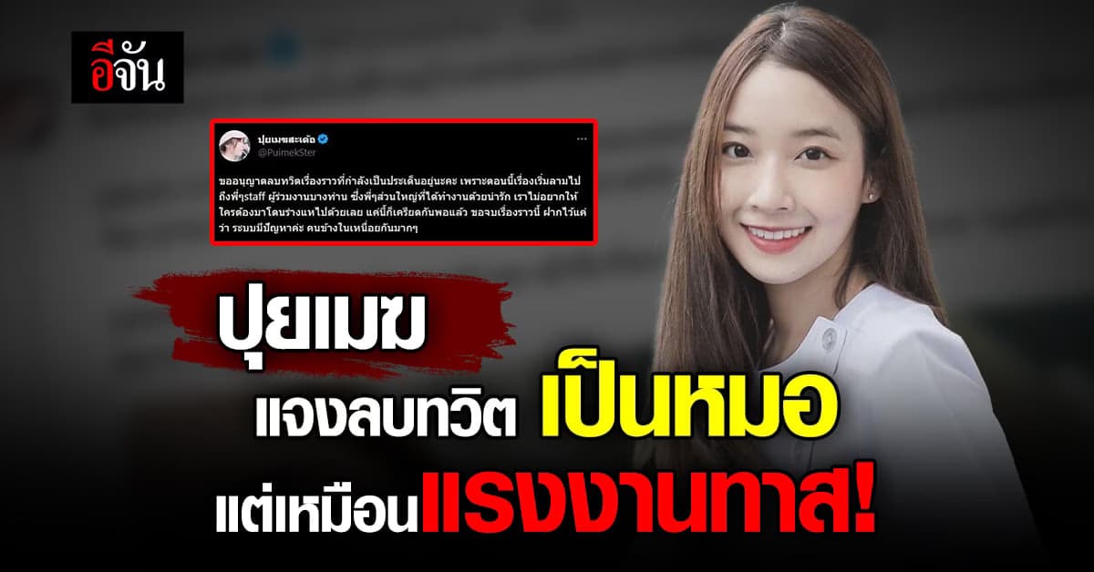 ปุยเมฆ แจงเหตุลบทวิต ลาออกจากราชการ กระทบเพื่อนร่วมงาน
