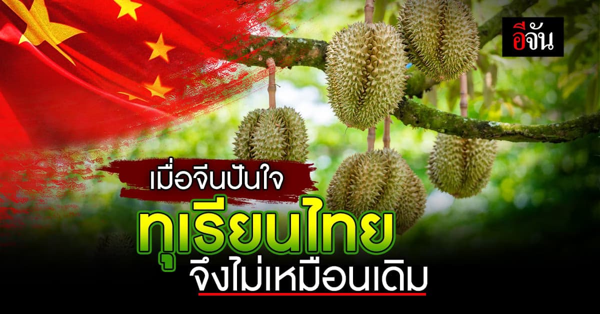 ทุเรียนไทย มีหนาว จีนปันใจนำเข้าจาก ‘เวียดนาม-ฟิลิปปินส์’ เพิ่มขึ้น