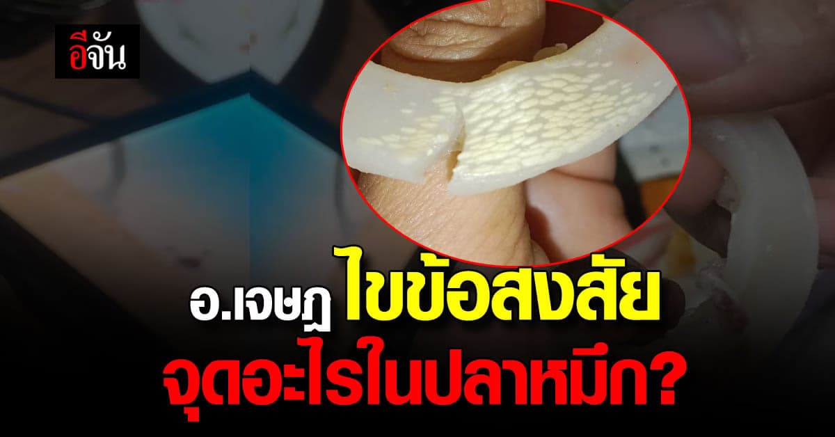 อ.เจษฎ์ บอก จุดในปลาหมึก ไม่ใช่ไข่พยาธิ หลังสาวโพสต์ถาม ชี้ ไม่อันตราย