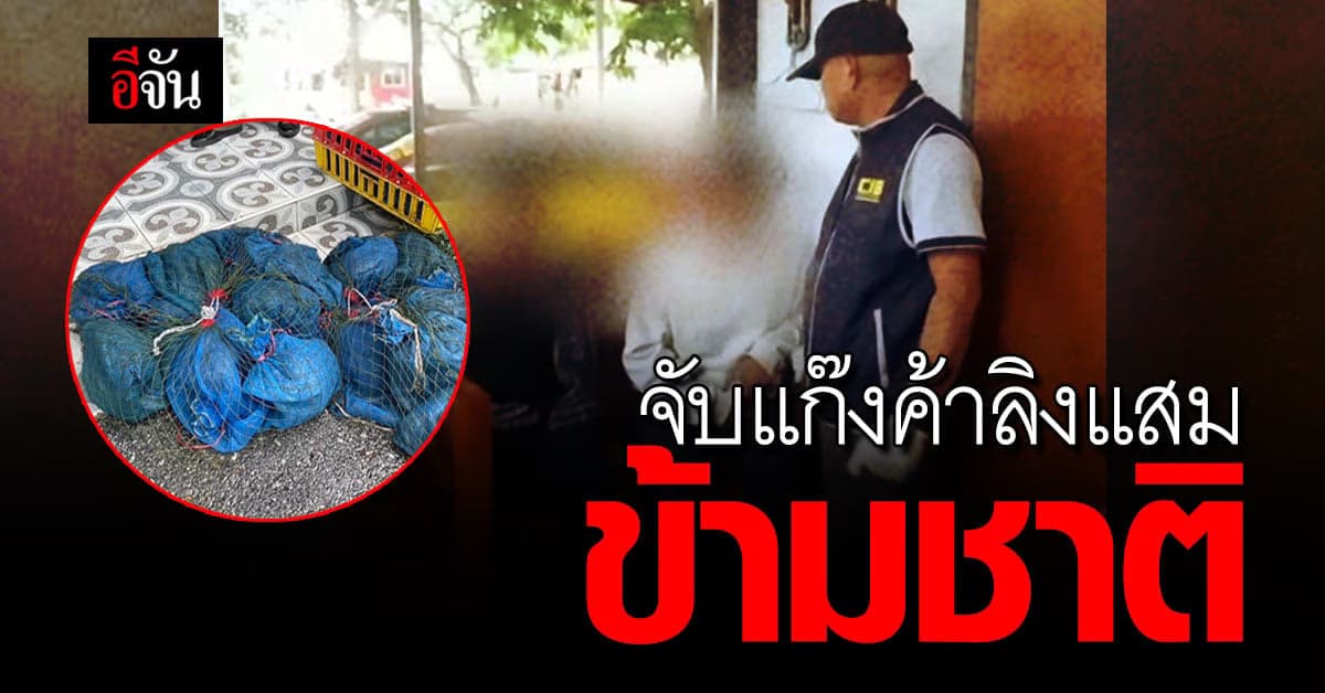 ปทส.รวบแก๊ง ค้าลิงแสมข้ามชาติงส่งต่อนายทุน ยึดของกลางลิงแสม 27 ตัว