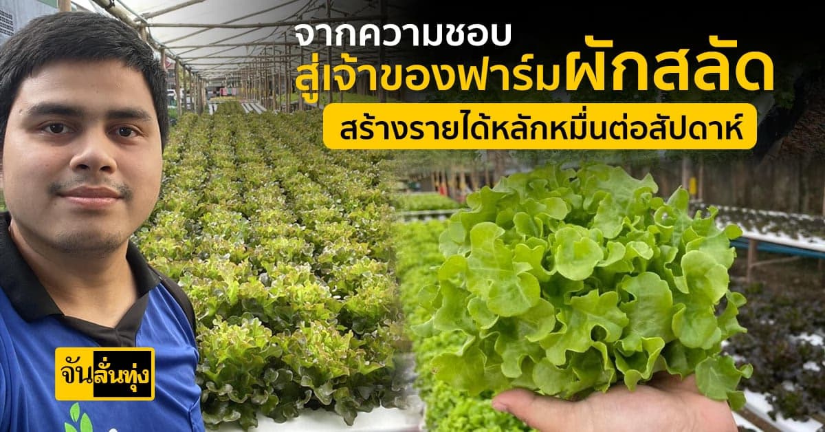 เริ่มจากความชอบ สู่เจ้าของฟาร์มผักสลัด สร้างรายได้ต่อสัปดาห์หลักหมื่น