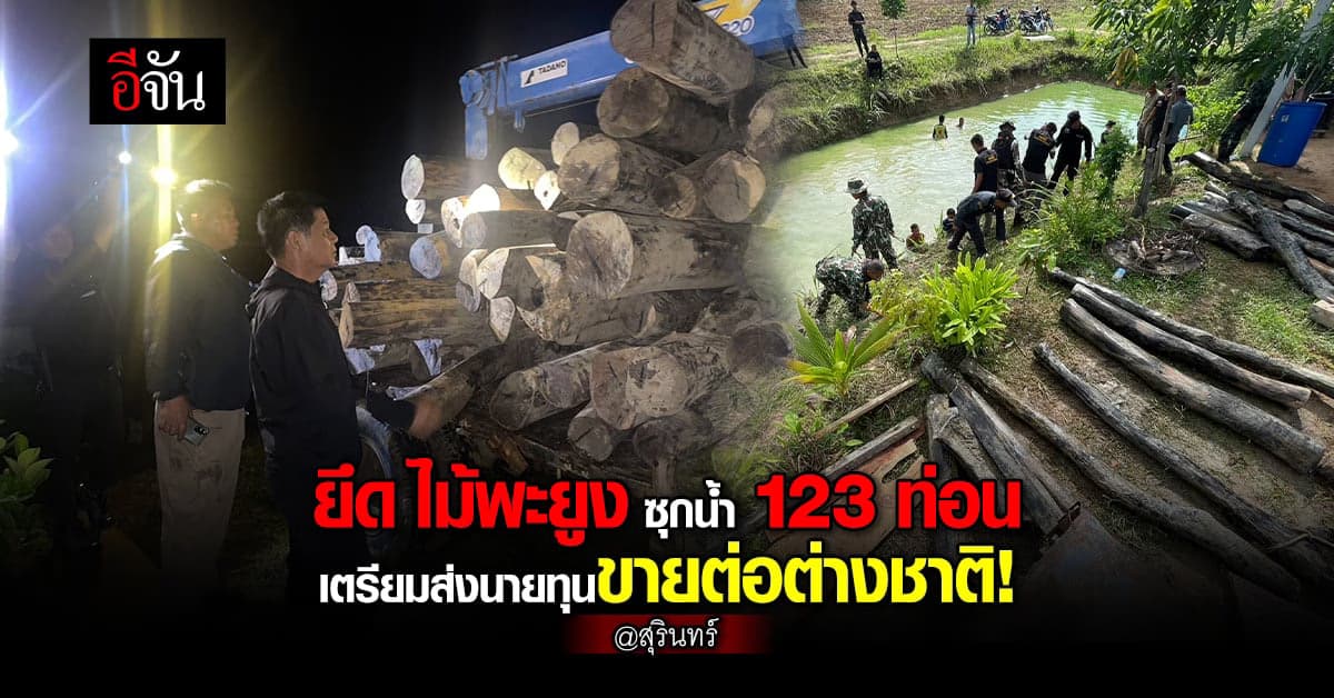 ชัยวัฒน์ นำทีม พญาเสือ ยึด ไม้พะยูง ซุกน้ำ เตรียมส่งนอกประเทศ