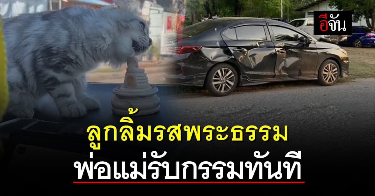 มันแซ่บเหรอ ลูกลิ้มรสพระธรรม พ่อแม่รับกรรมเต็มๆ