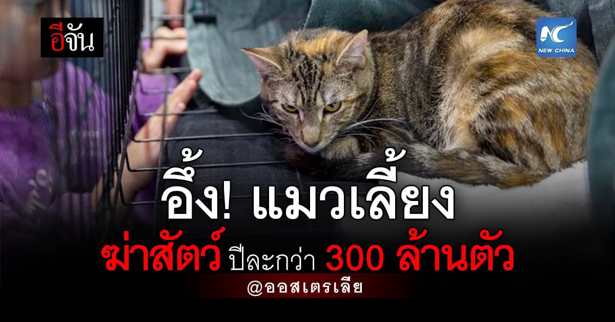 วิจัยพบ “แมวเลี้ยง” ฆ่าสัตว์ในออสเตรเลียปีละกว่า 300 ล้านตัว