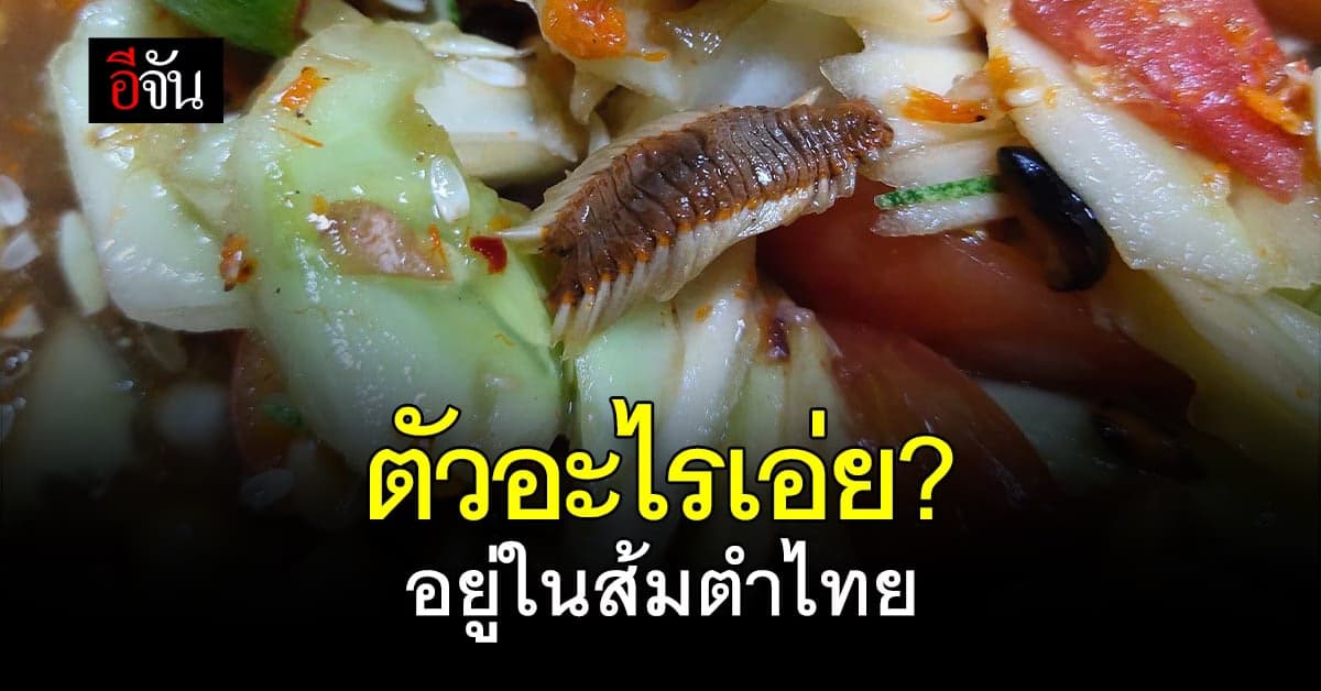 เกือบอ้วก สาวโพสต์ถาม เจอสัตว์แปลกปลอมอยู่ในส้มตำไทย