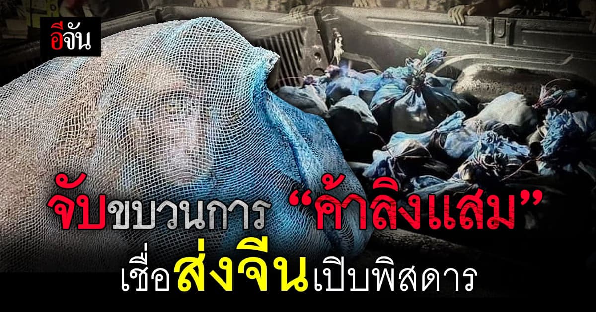 จับขบวนการ “ค้าลิงแสม” เผยทำมาแล้วหลายครั้ง เชื่อส่งจีนเปิบพิสดาร