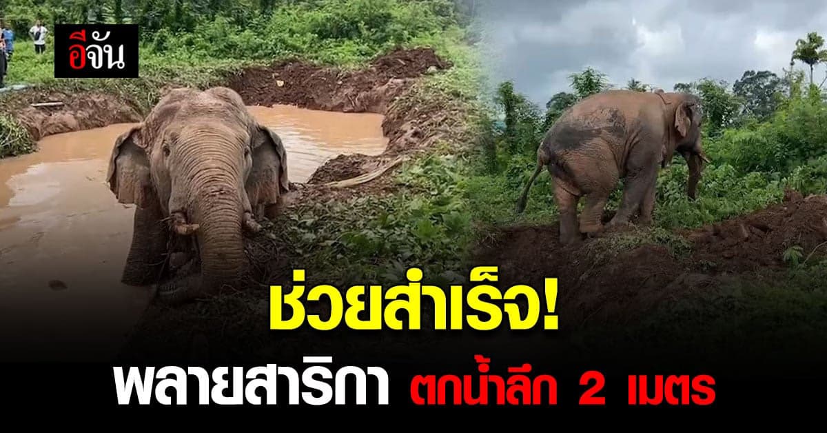 ระทึก กู้ภัย เข้าช่วยเหลือ พลายสาริกา หลัง พลัดตกน้ำ ลึก 2 เมตร