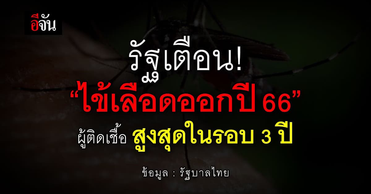รัฐเตือน ไข้เลือดออกปี 66 ผู้ติดเชื้อสูงสุดในรอบ 3 ปี