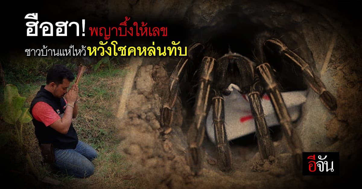 ชาวบ้านหวังโชคหล่นทับ แห่ขอเลขเด็ด จากพญาบึ้ง