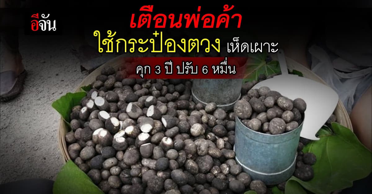 พ่อค้าหนาวแน่ ใช้ลิตรตวงเห็ดเผาะ เจอโทษหนัก จำคุก 3 ปี ปรับ 6 หมื่นบาท