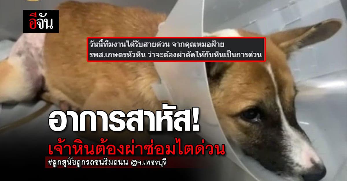 ต้องผ่าตัดด่วน! The Voice อัพเดทอาการเจ้าหิน ค่าไตสูงมาก