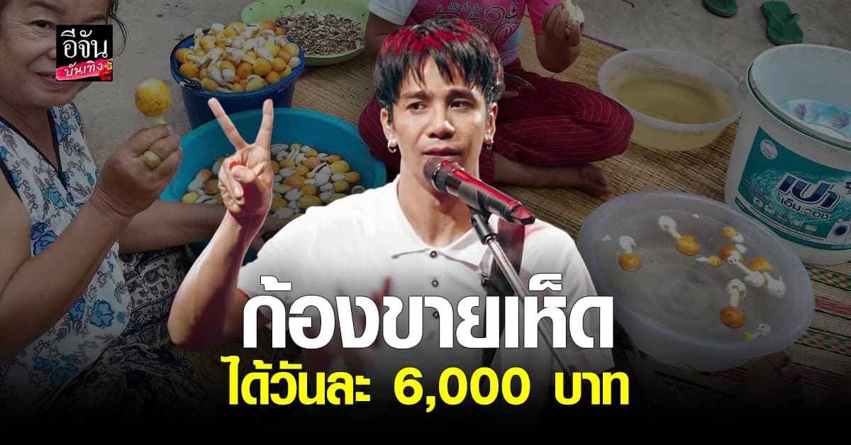 สุดยอดมาก“ก้อง ห้วยไร่” เผยวิธีปลูกยางนาเพื่อได้เห็ด ขายได้วันละ6,000