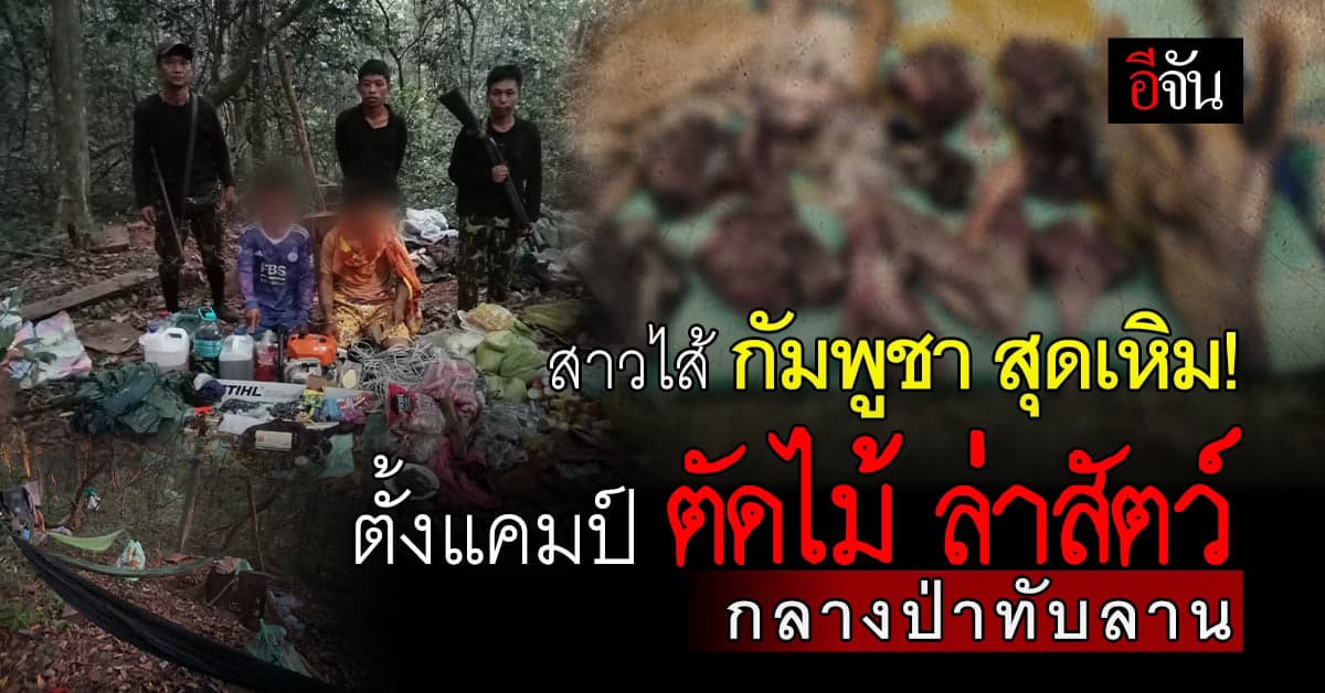 กัมพูชา ตั้งแคมป์ กลางป่าทับลาน ตัดไม้ ฆ่าสัตว์ เจอหลักฐานโยงคนไทย