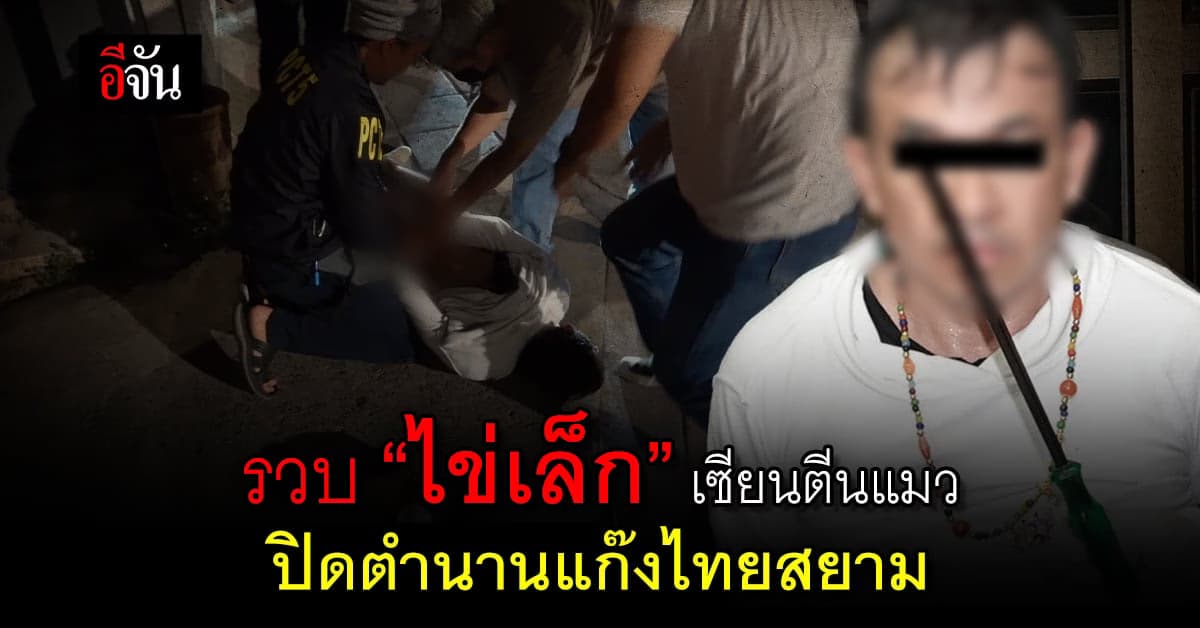 รวบ “ไข่เล็ก” เซียนตีนแมว ปิดตำนานแก๊งไทยสยาม