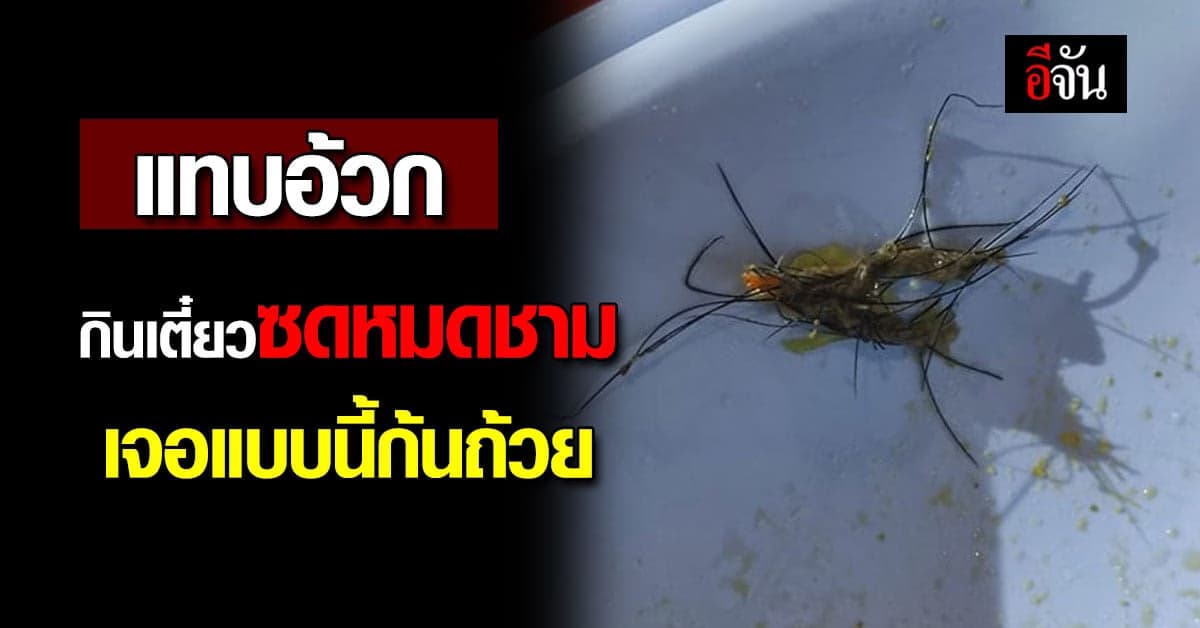 โอ้โห อ้วกแทบพุ่ง กินก๋วยเตี๋ยว ซดจนหมดชาม แต่เจอแบบนี้ก้นถ้วย