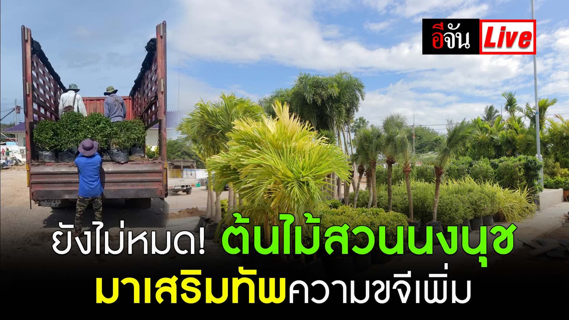 🎬 Live ยังไม่หมด! ต้นไม้สวนนงนุช มาเสริมทัพความขจีเพิ่ม