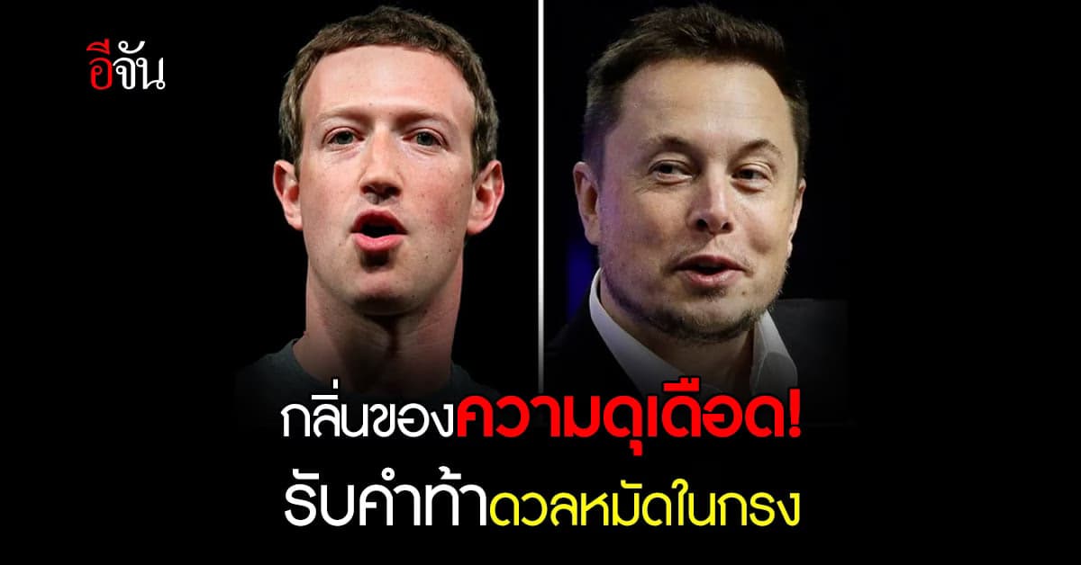 เอาจริงดิ! มาร์ค ซัคเคอร์เบิร์ก รับคำท้าดวลหมัดกับ อีลอน มัสก์ ในกรง