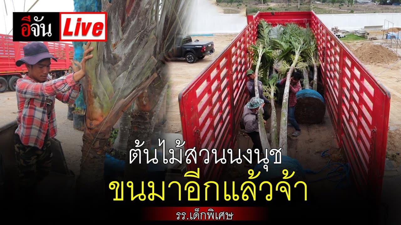 🎬 Live ต้นไม้สวนนงนุช ขนมาอีกแล้วจ้า ความร่มรื่นเต็ม รร.เด็กพิเศษ