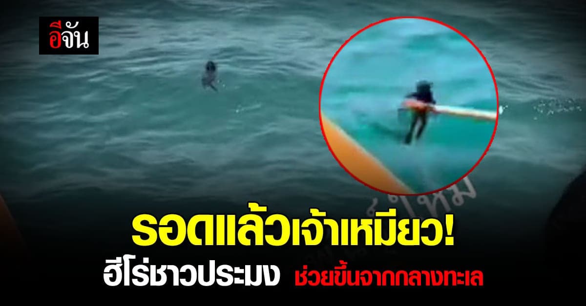 เกือบเป็นแมวน้ำแล้ว ฮีโร่ชาวประมง ช่วย น้องเหมียว ที่ ลอยคอ กลางทะเล