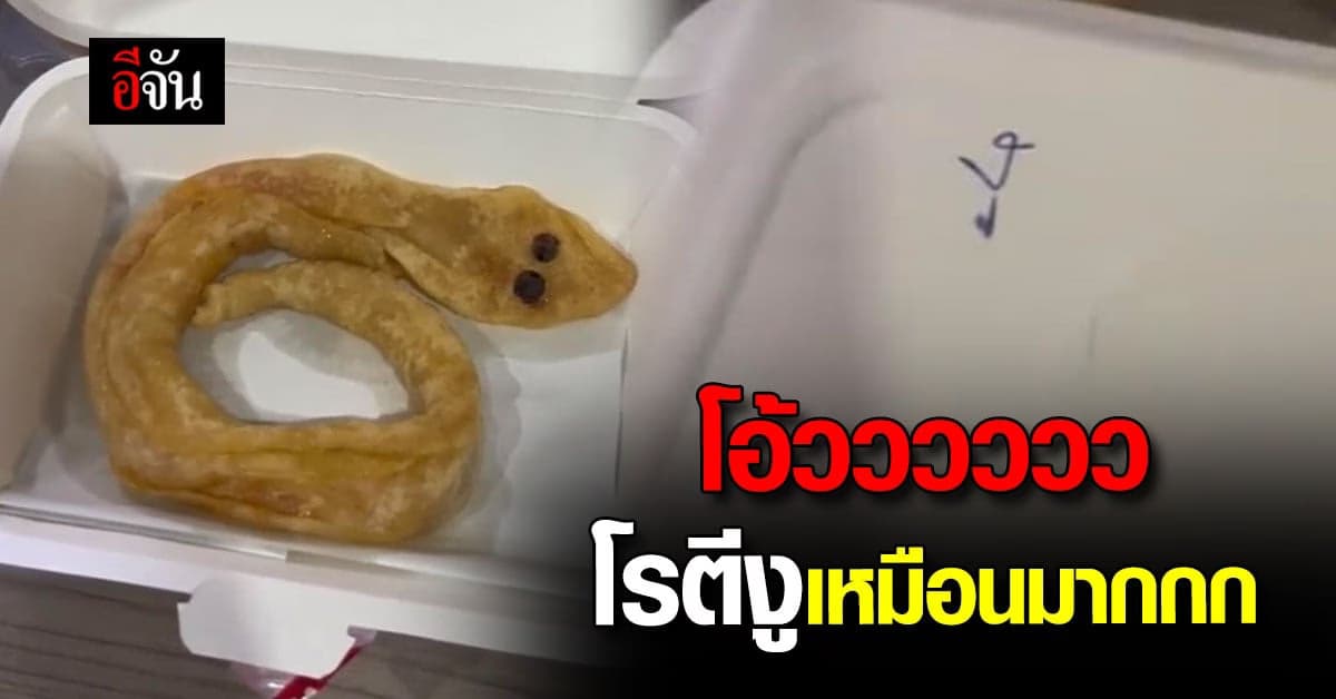 โรตีงู! ชาวเน็ตคอมเมนต์ด้วยความเอ็นดู