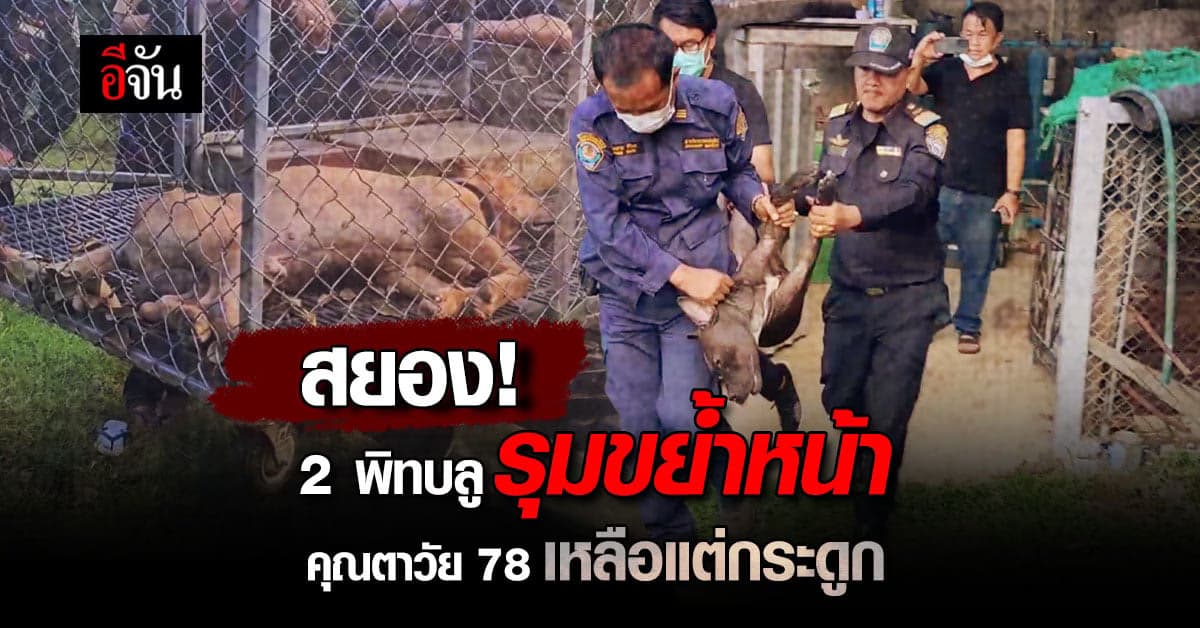 สยอง! 2 พิทบลู รุมกินขย้ำ กัดหน้าคุณตาวัย 78 เหลือแต่กระดูก