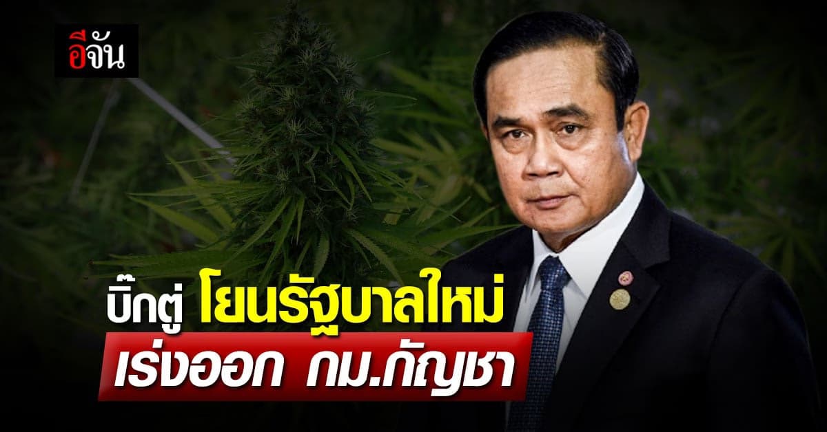 บิ๊กตู่ ส่งต่อ พ.ร.บ.กัญชา ให้ รัฐบาลใหม่ พิจารณา เพราะ ปิดประชุมสภา