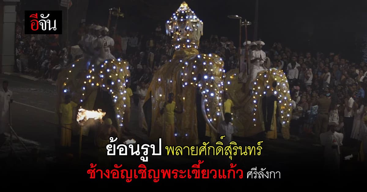 เปิดภาพ พลายศักดิ์สุรินทร์ กับหน้าที่ของช้างอัญเชิญพระเขี้ยวแก้ว