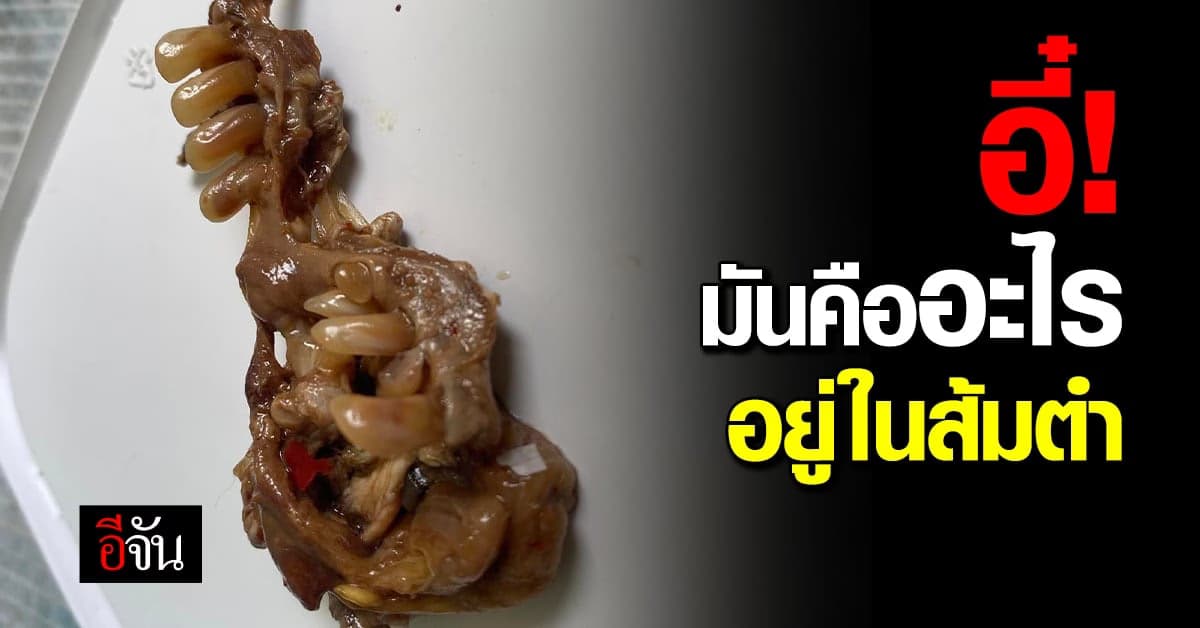 มันคืออะไร? สาวโพสต์ภาพเจอสิ่งนี้ในส้มตำที่เพิ่งกินไป