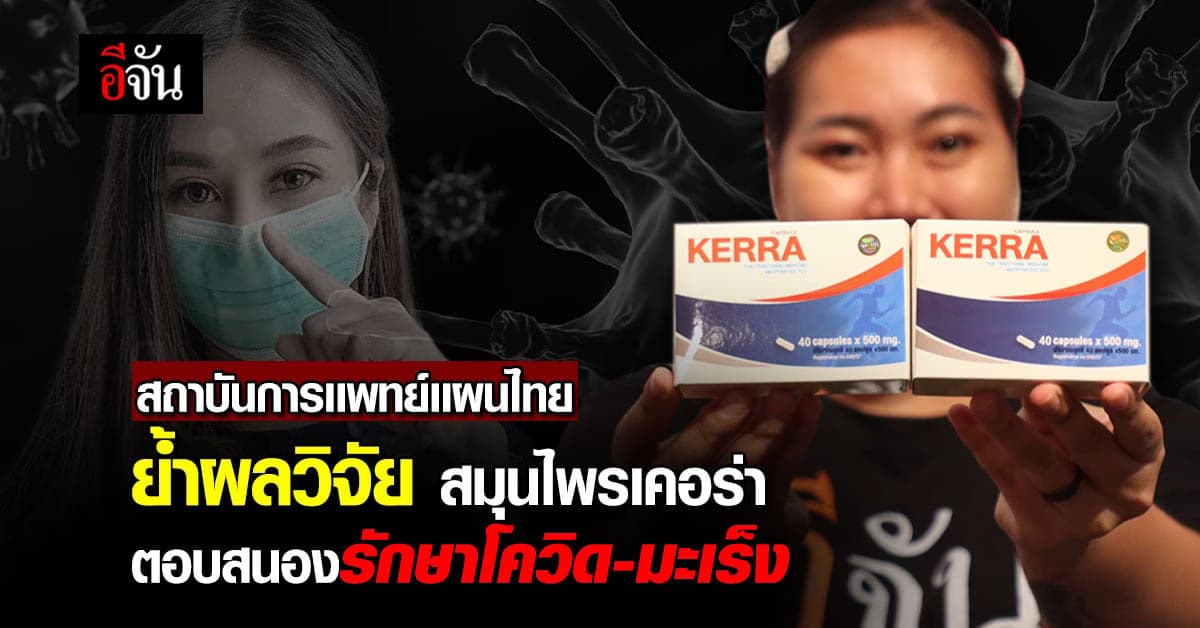 นักวิจัยเผยความคืบหน้าผลวิจัย สมุนไพรเคอร่า รักษาโควิดเเละอีกหลายโรค