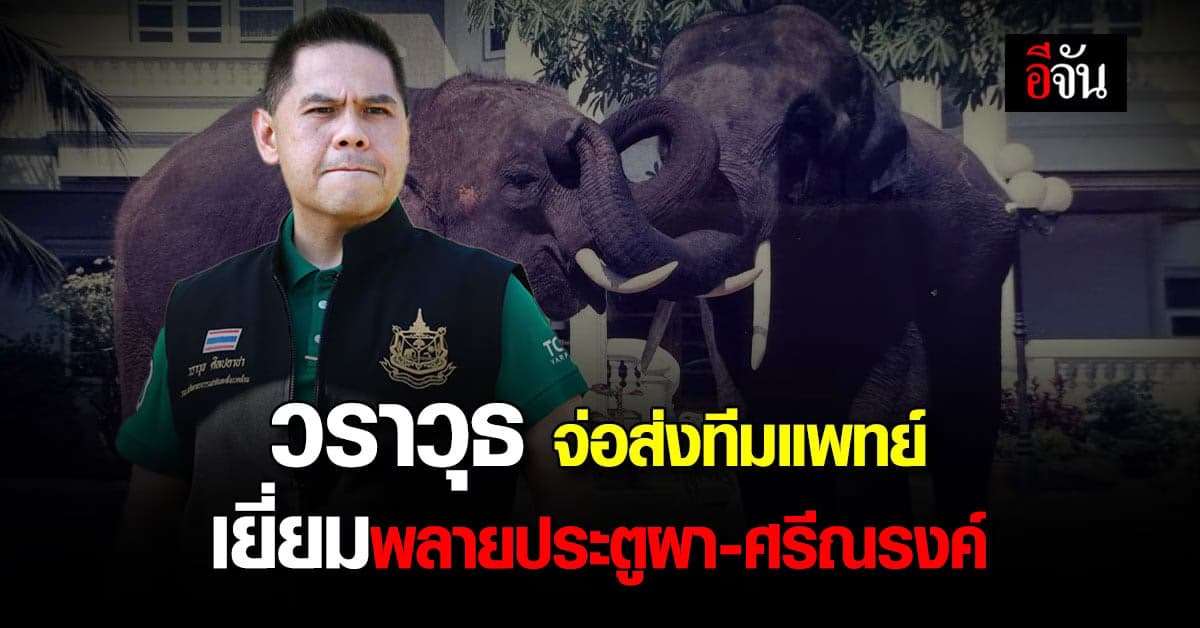 วราวุธ เตรียมส่งทีมแพทย์ บินศรีลังกา เยี่ยม 2 พลาย