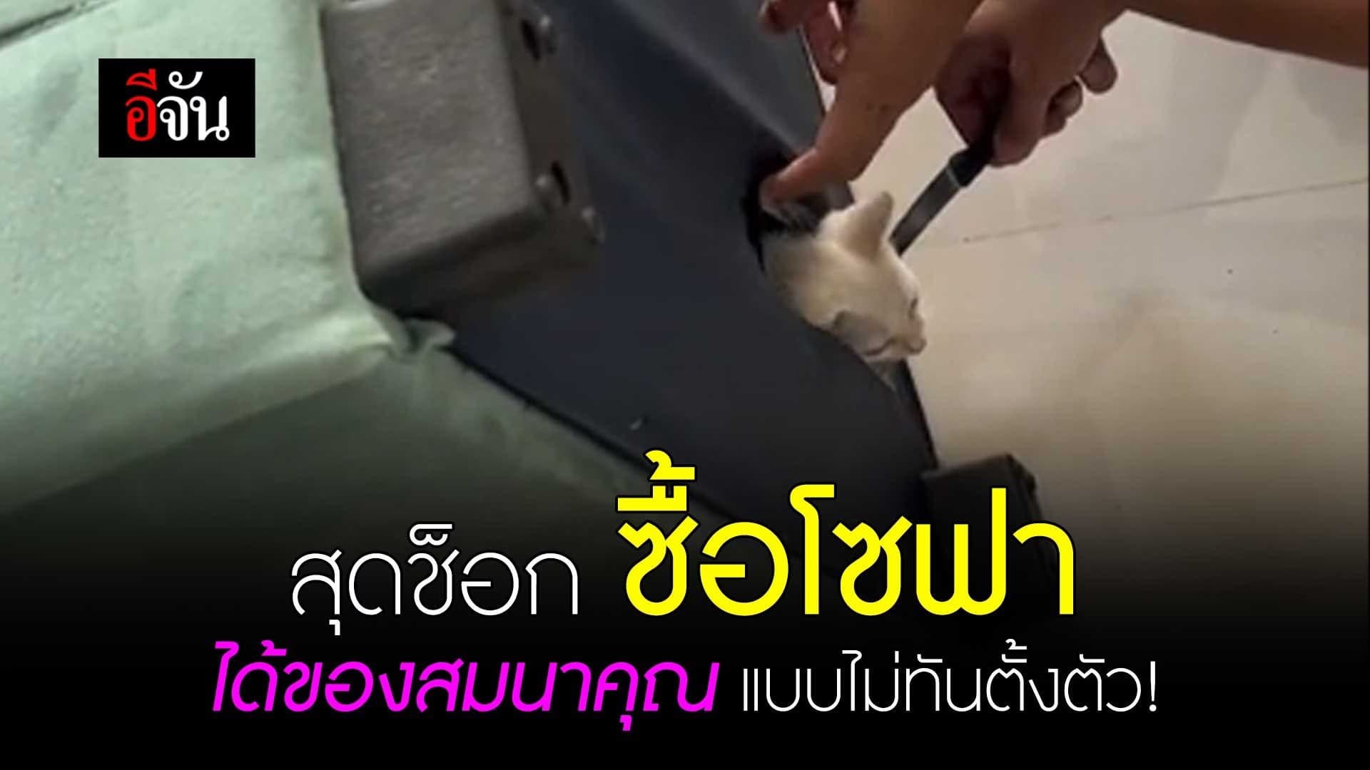 🎬 สุดช็อก ซื้อโซฟา ได้ของสมนาคุณแบบไม่ทันตั้งตัว!