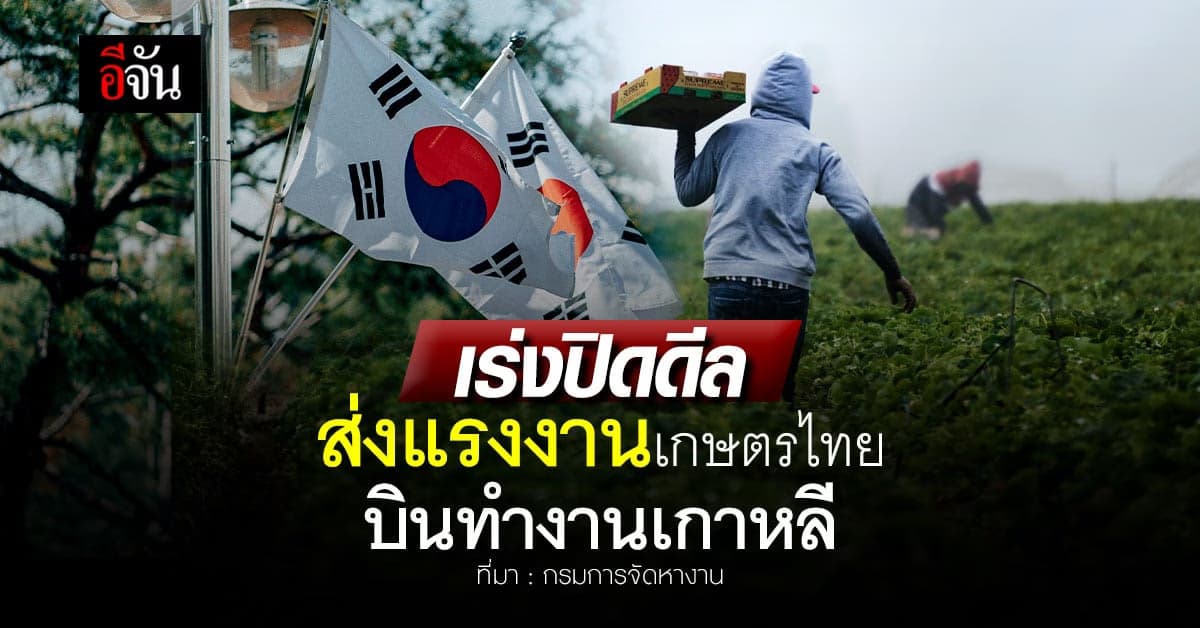 แรงงานภาคเกษตรไทย ฮอต! ‘กรมการจัดหางาน’ เร่งปิดดีล ส่งทำงานเกาหลีใต้