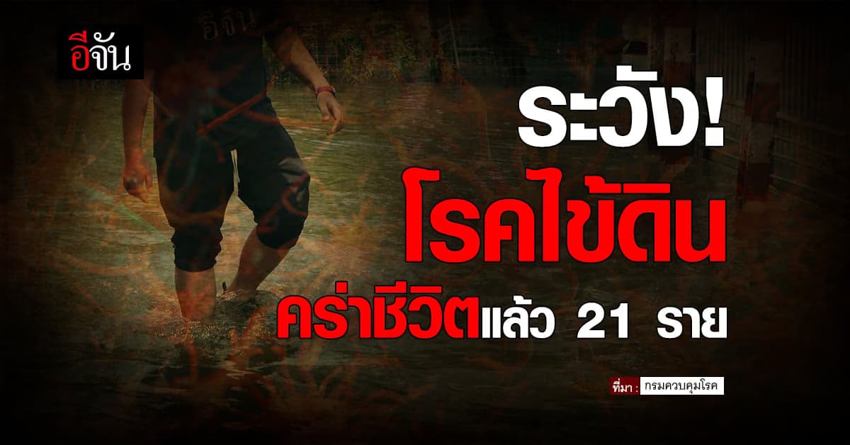 ระวัง! โรคไข้ดิน ครึ่งปีคร่าชีวิตคนไทยแล้ว 21 ราย