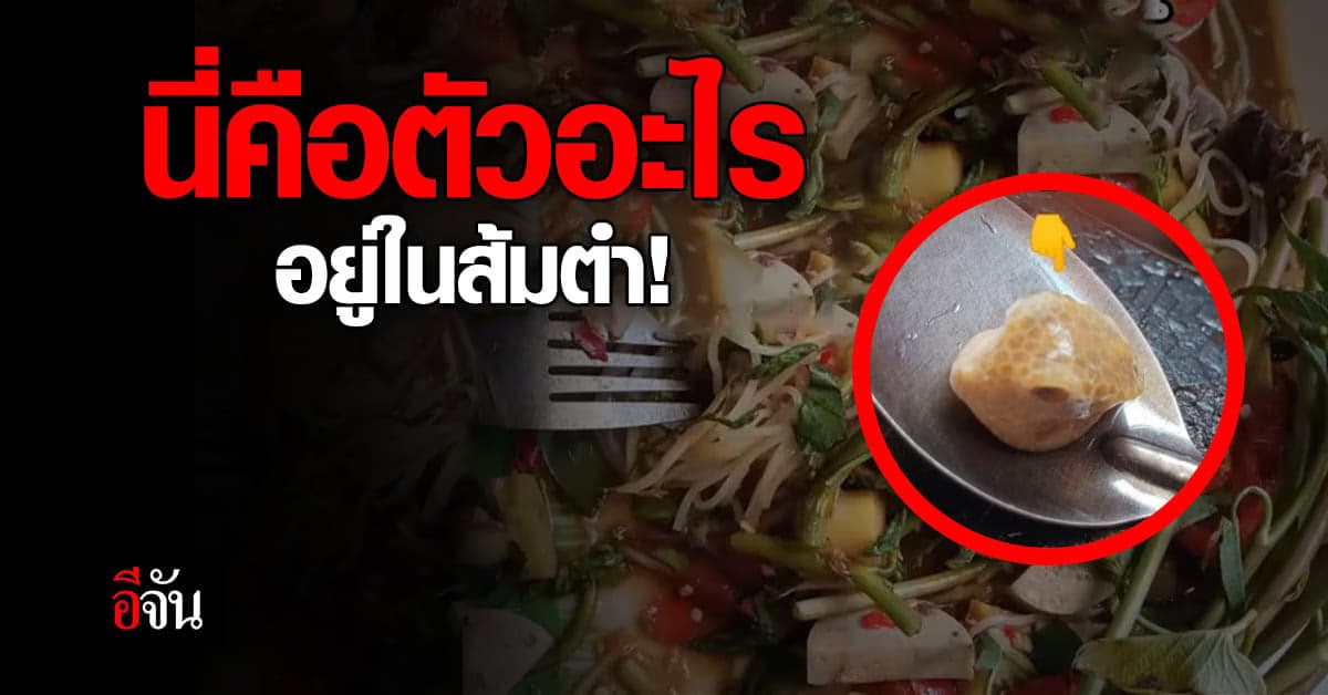 สาวผงะ! ซื้อส้มตำมา แต่สังเกตเห็น วัตถุแปลกปลอมปนมาด้วย