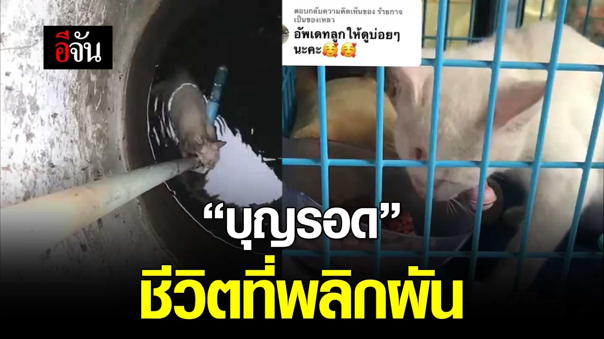 🎬 “บุญรอด” ชีวิตที่พลิกผัน