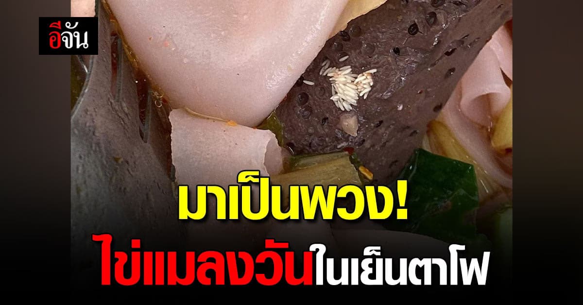 สาวโพสต์ ก่อนกินดูดีๆ ช่วงนี้เจอไข่แมลงวันในอาหารเพียบ!