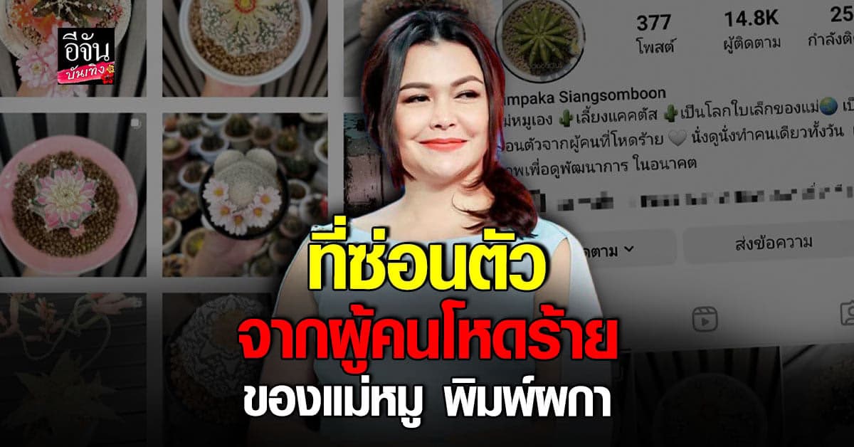 แม่หมู พิมพ์ผกา เผย ที่ซ่อนตัวจากผู้คนที่โหดร้าย โลกใบเล็กของแม่