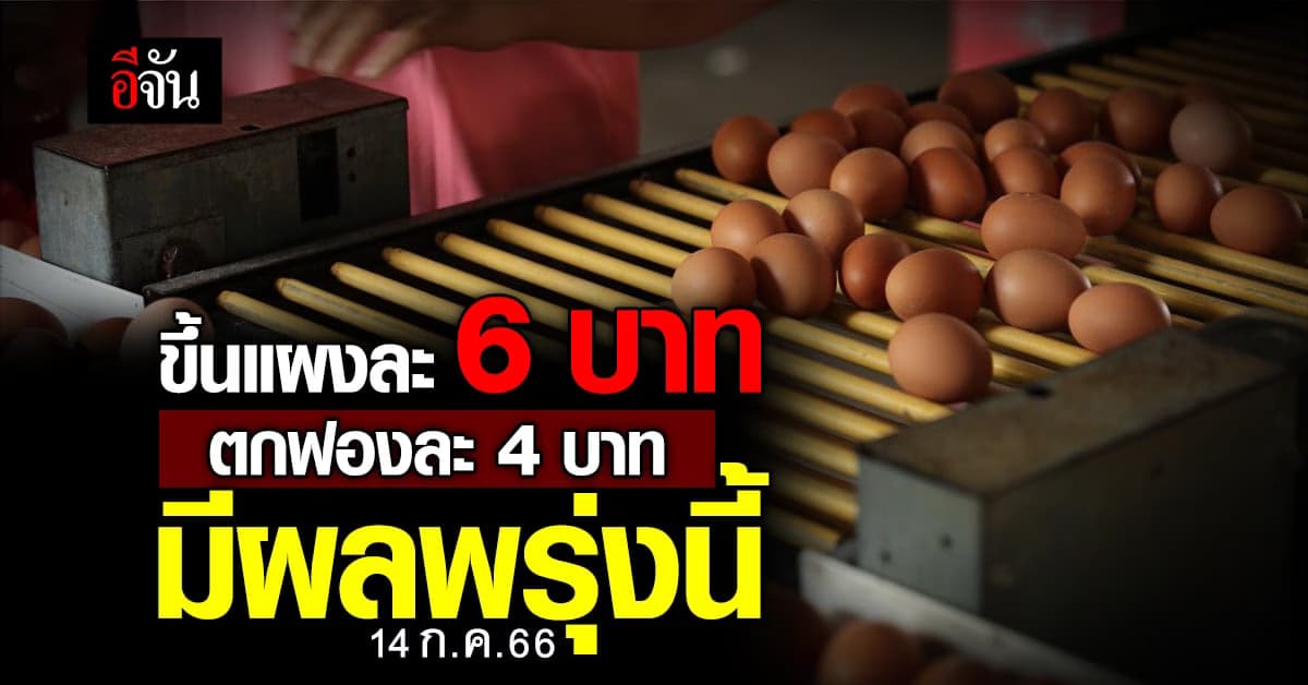 ไข่ไก่ ขึ้นราคาแผงละ 6 บาท ตกฟองละ 4 บาท มีผลพรุ่งนี้ (14 ก.ค.66)