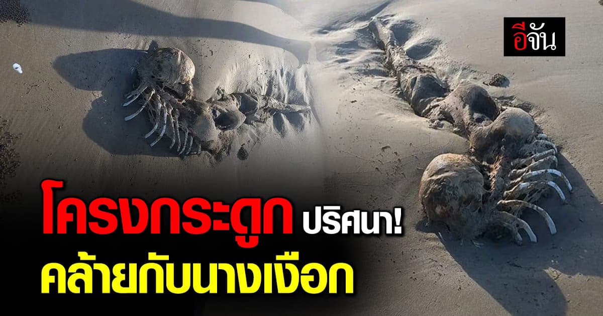 โครงกระดูกปริศนา โผล่ริมหาด ชาวเน็กถกเดือด มีลักษณะคล้ายนางเงือก