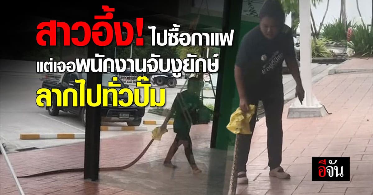 อึ้ง! สาวไปซื้อกาแฟ เหลือบเห็นพนักงานปั้ม จับงูตัวใหญ่ลากไปมาทั่วปั้ม