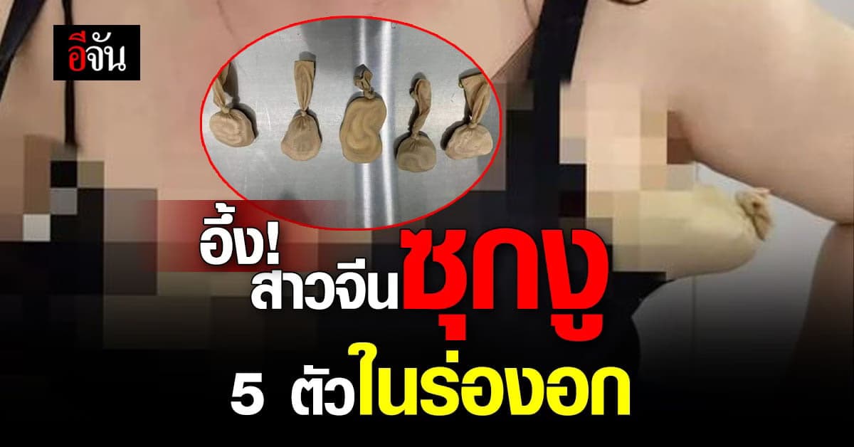 อึ้ง! ศุลกากรจีนตรวจเจอสาวซุกงู 5 ตัวในร่องอก