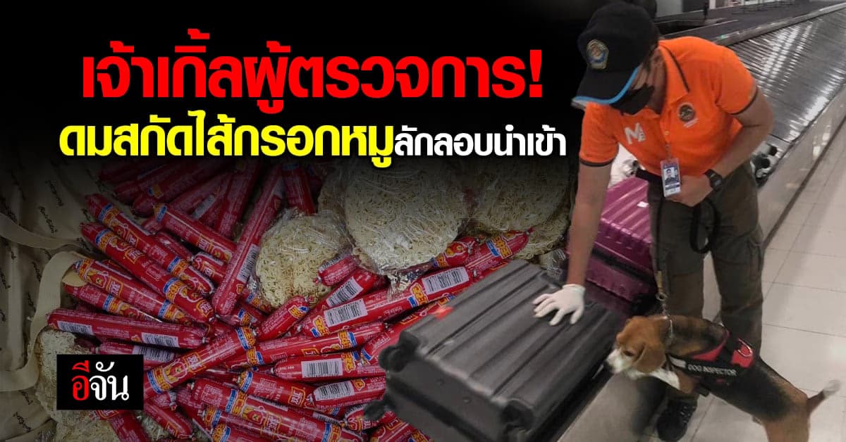 กรมปศุสัตว์ เตือนสายชาบู! ไส้กรอกหมูลักลอบนำเข้า เสี่ยงแพร่โรค ASF