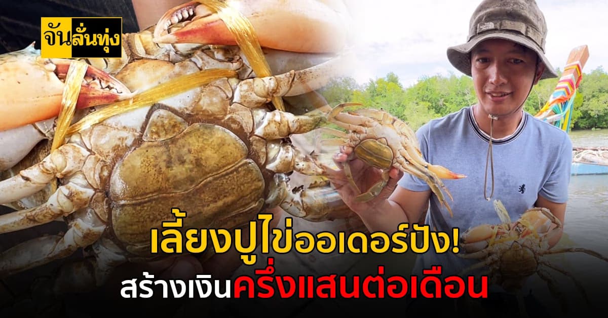 เกษตรกรเลี้ยงปูไข่ ออเดอร์ปังไม่พอขาย แถมสร้างรายได้ครึ่งแสนต่อเดือน!