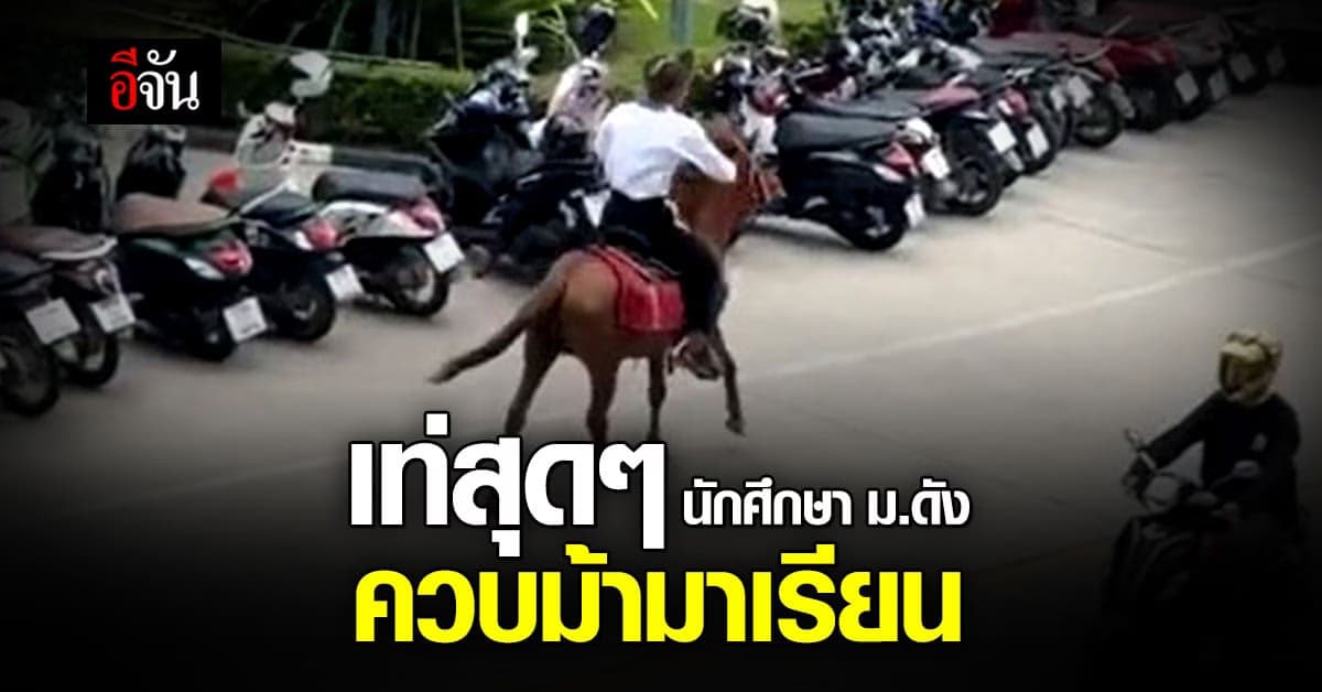 เท่สุดๆ นักศึกษา มหาวิทยาลัยชื่อดัง ขึ้นควบม้า ขี่ไปเรียน