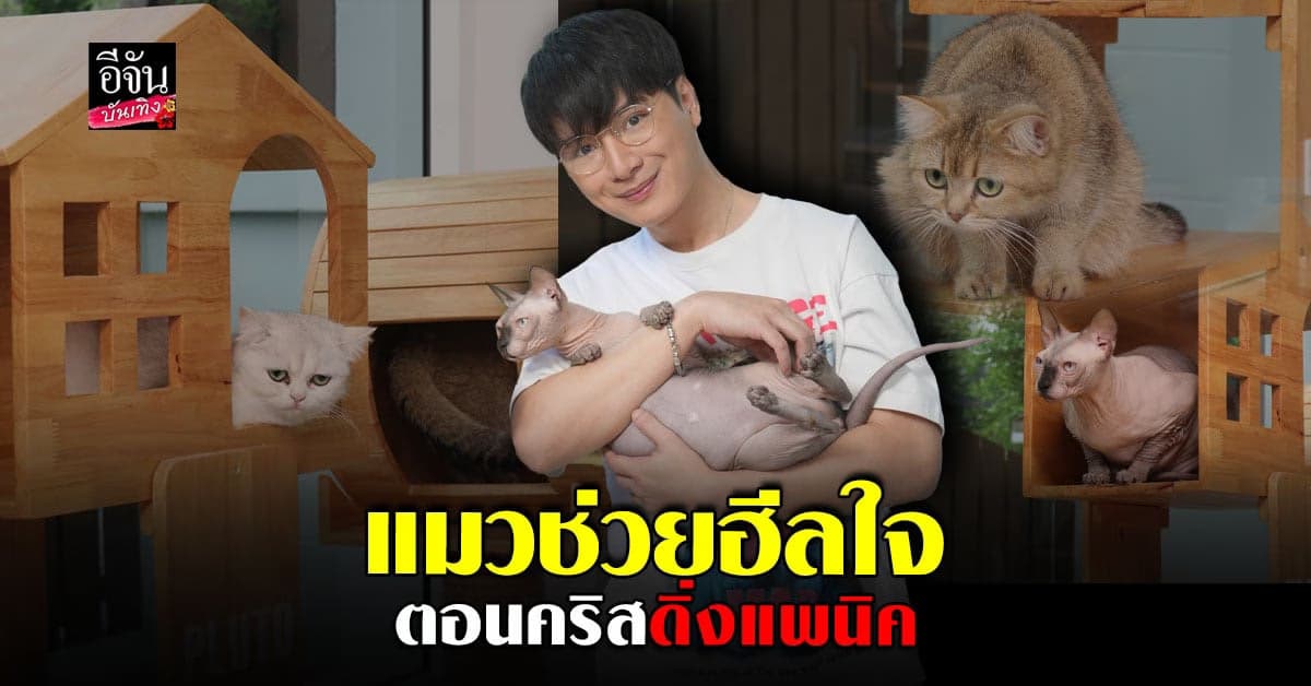 คริส พีรวัส ช่วง แพนิค ชีวิตดิ่ง ได้สัตว์เลี้ยง ช่วยฮีลใจตอนเป็น